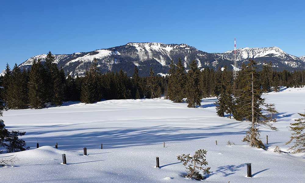 Wandlkogel