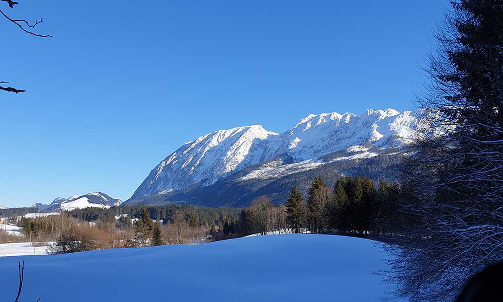 Wandlkogel