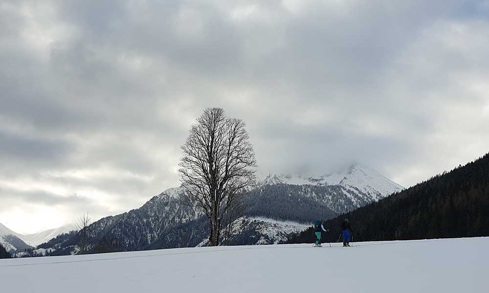 Triebenkogel