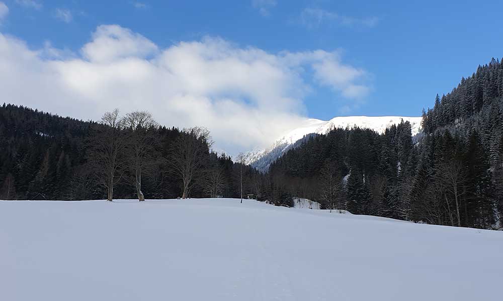 Triebenkogel