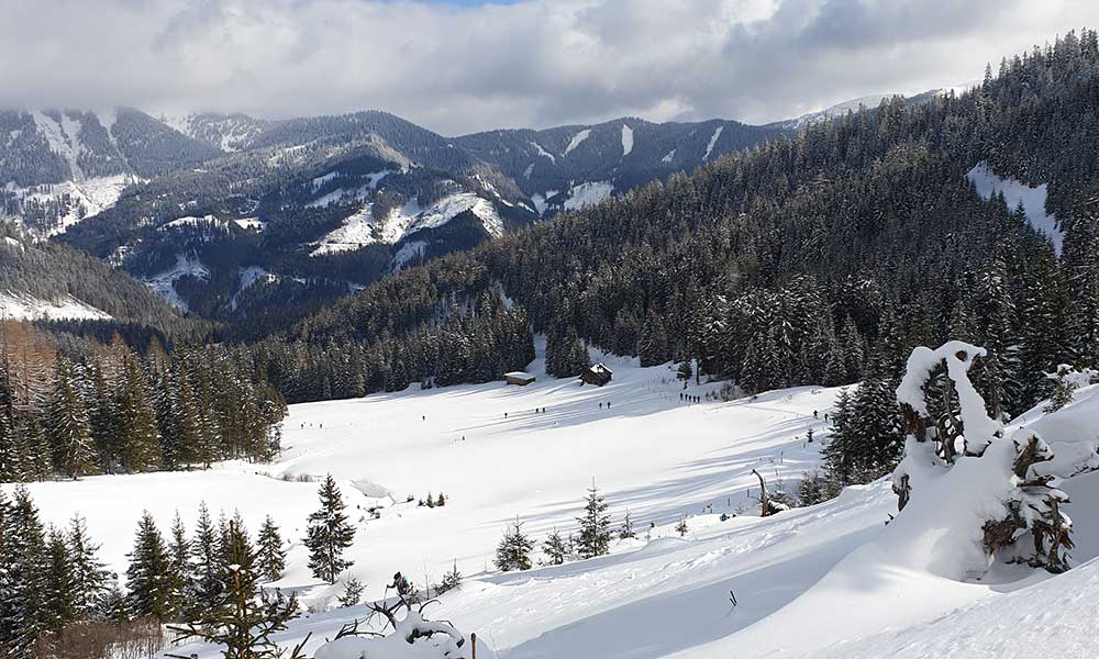 Triebenkogel