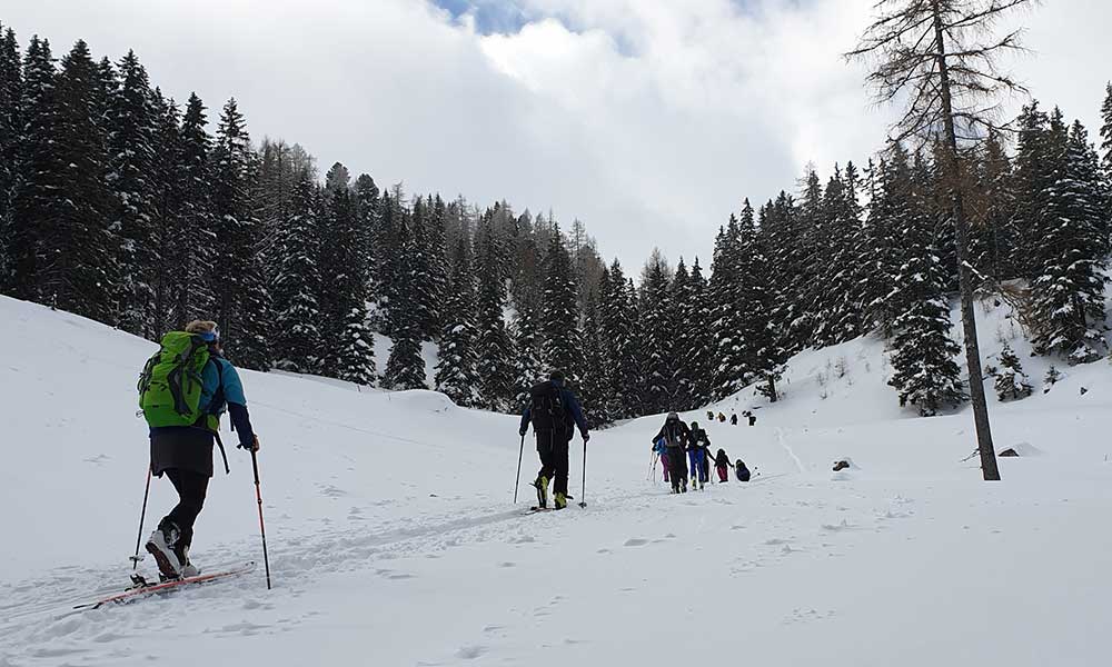 Triebenkogel