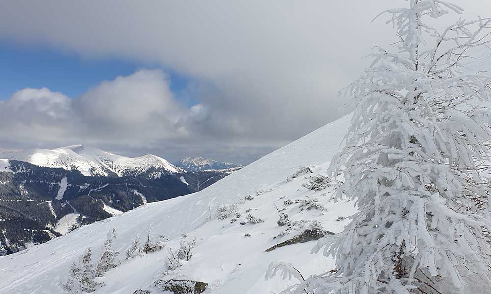 Triebenkogel