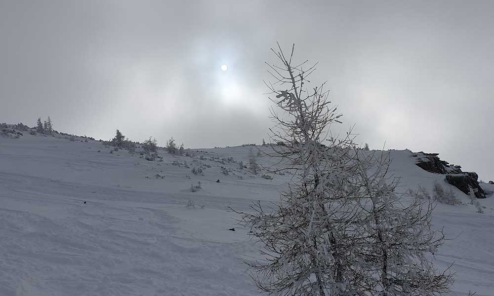 Triebenkogel