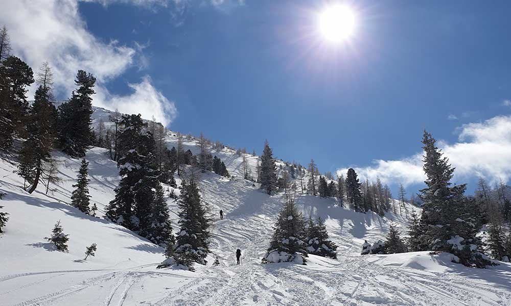 Triebenkogel