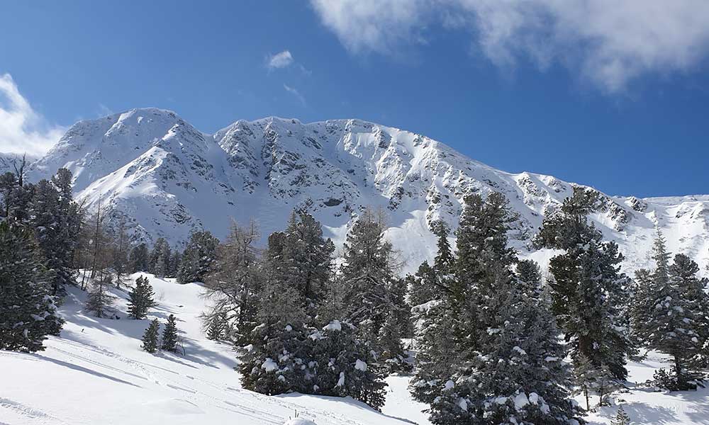 Triebenkogel