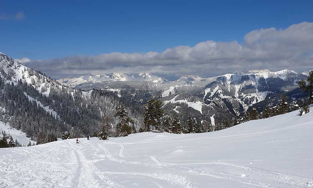 Triebenkogel