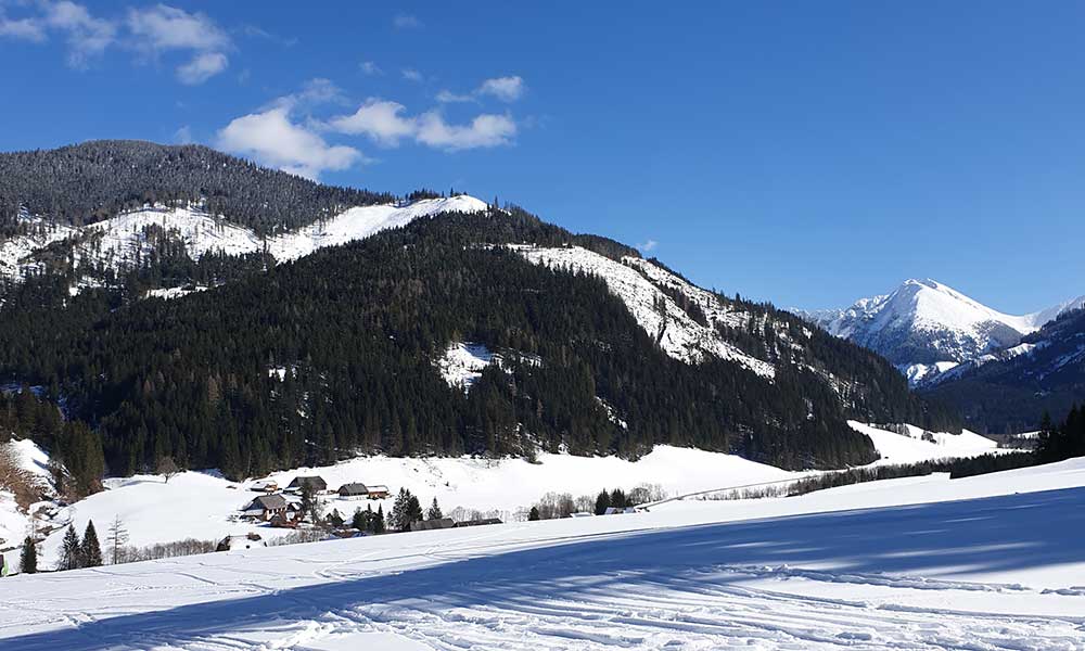 Triebenkogel