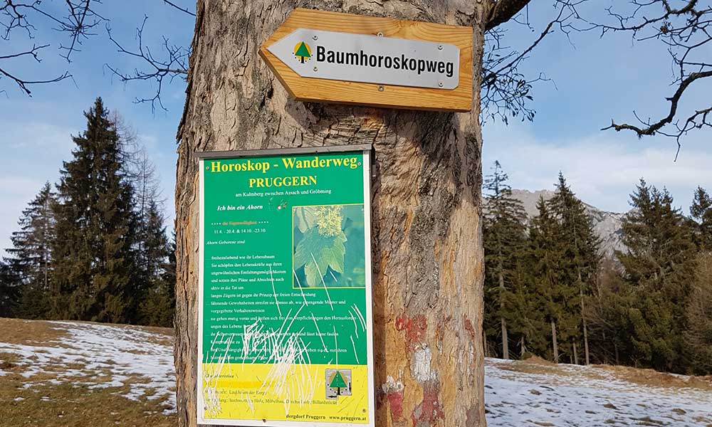 Baumhoroskopweg