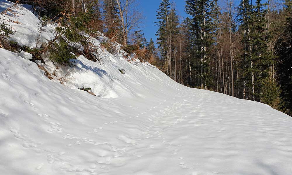 Hochmiuehleck