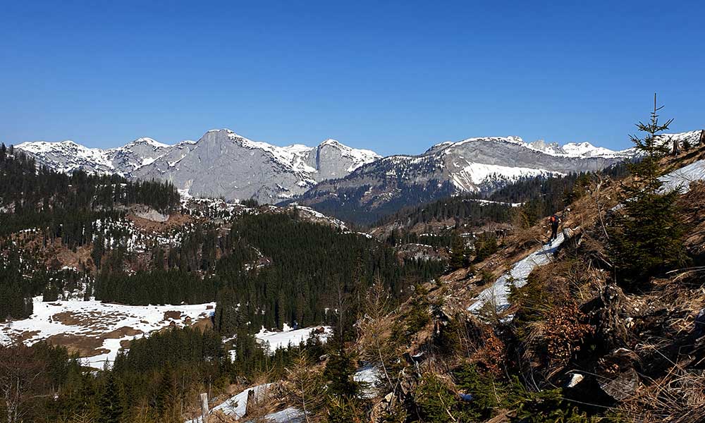 Plankeraualm