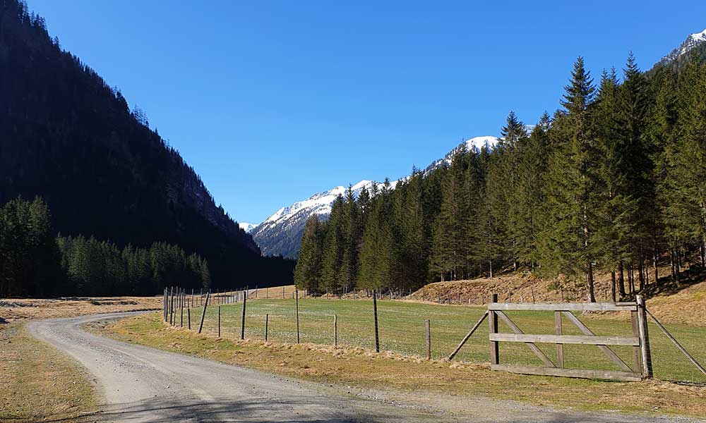 Striegleralm