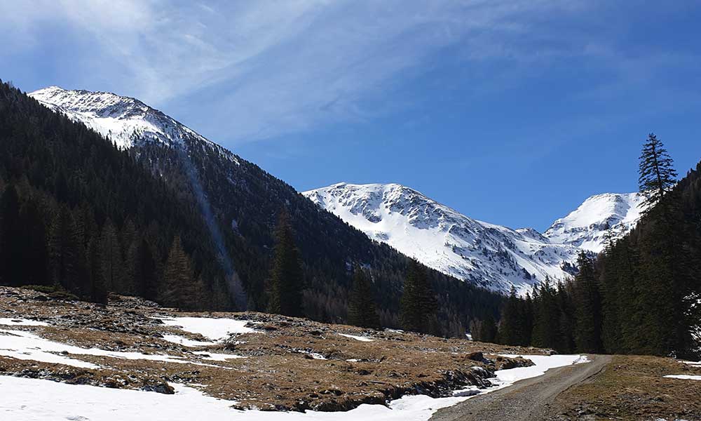 Striegleralm