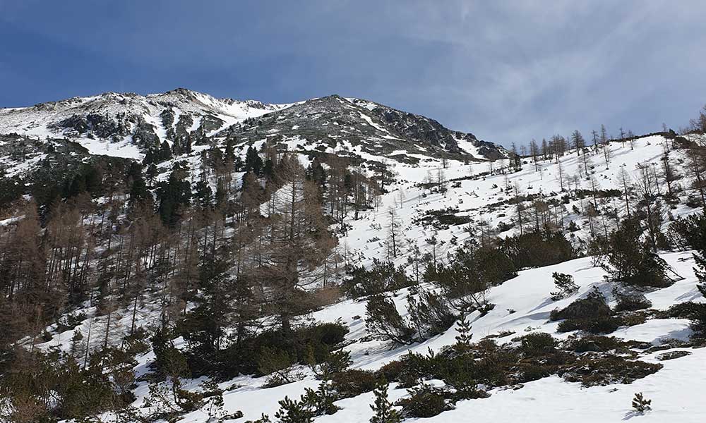 Striegleralm