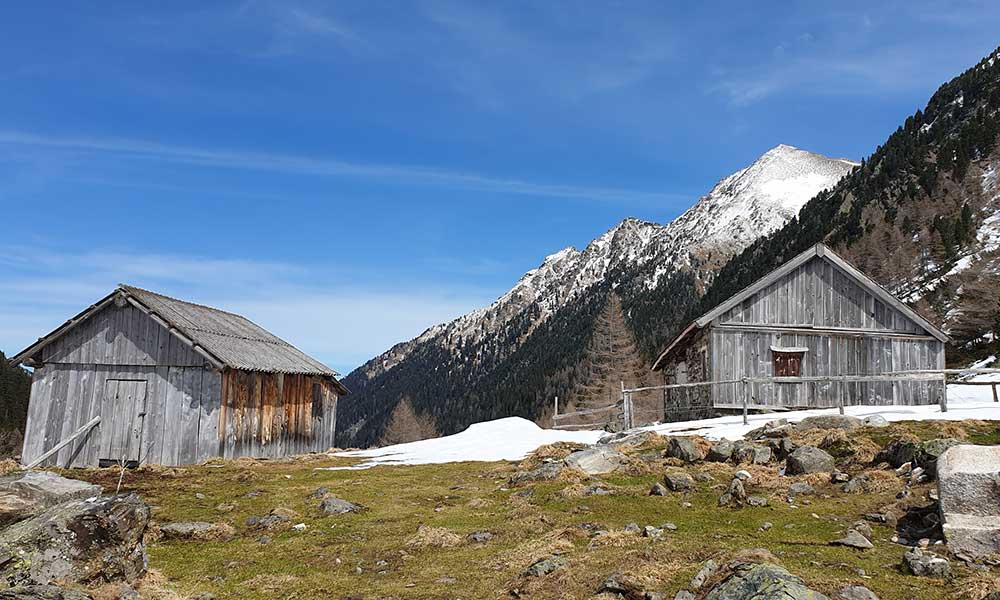 Striegleralm