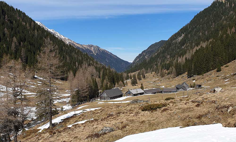 Striegleralm