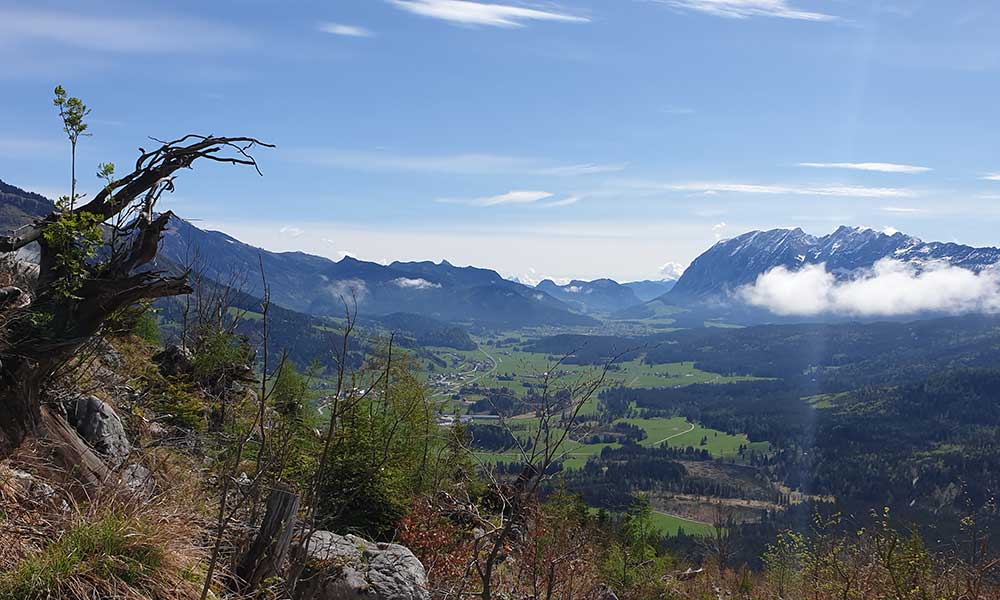 Lärchkogel