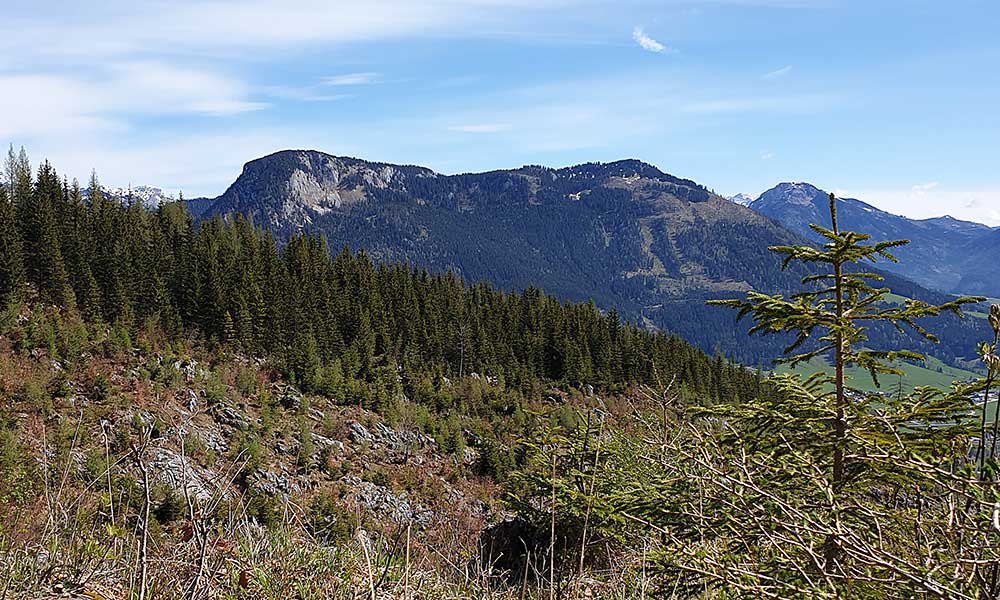 Lärchkogel