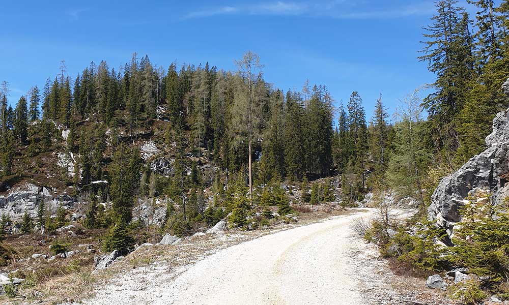 Lärchkogel