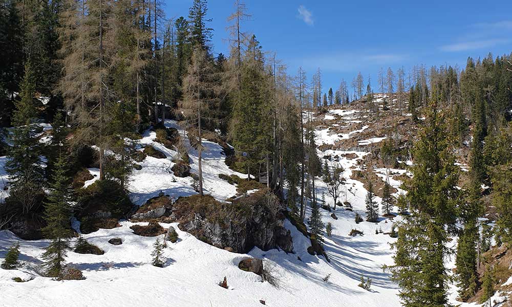 Lärchkogel