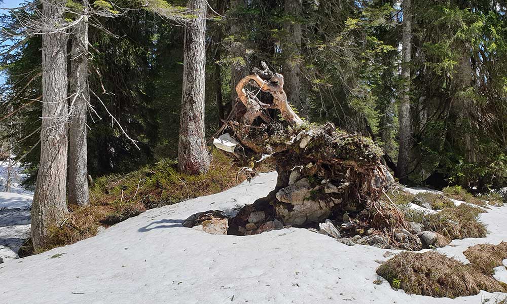 Lärchkogel