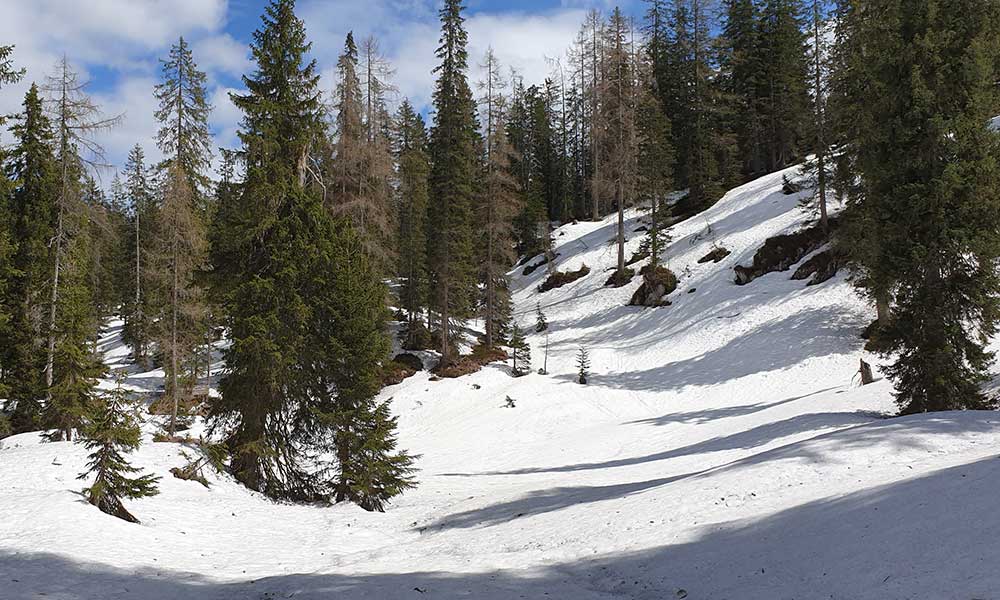 Lärchkogel