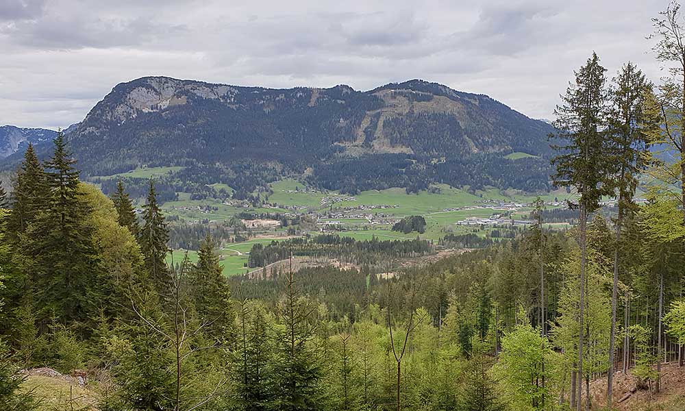 Lärchkogel