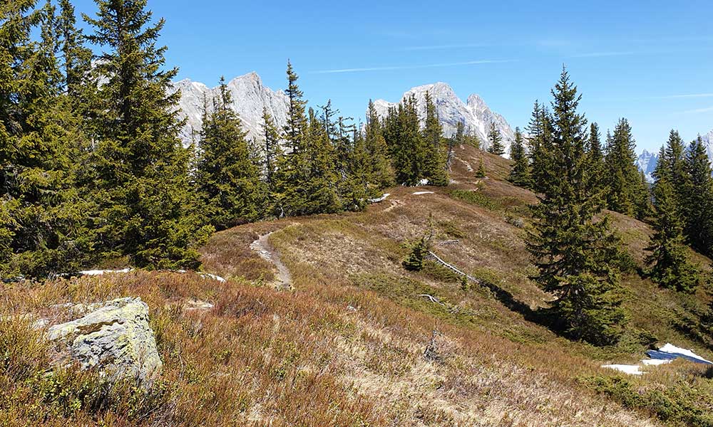 Lahngangkogel