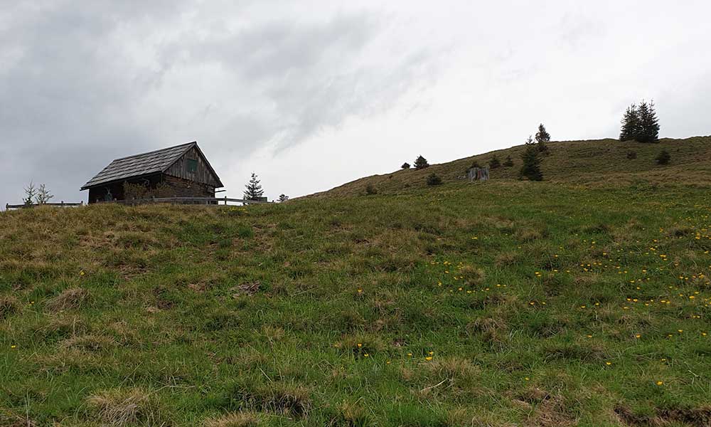 Leistenstein