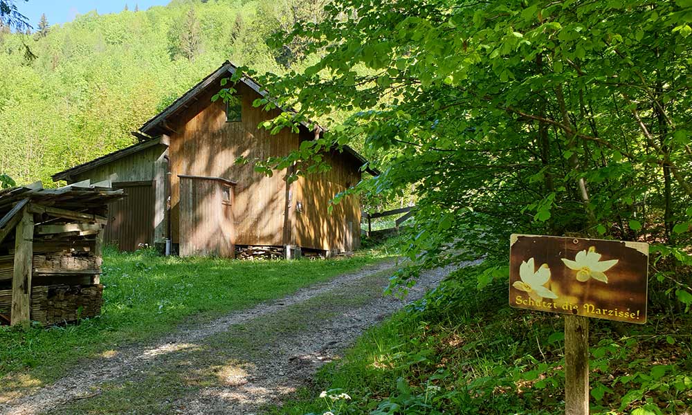 Hauergraben