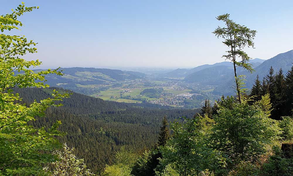 Hauergraben