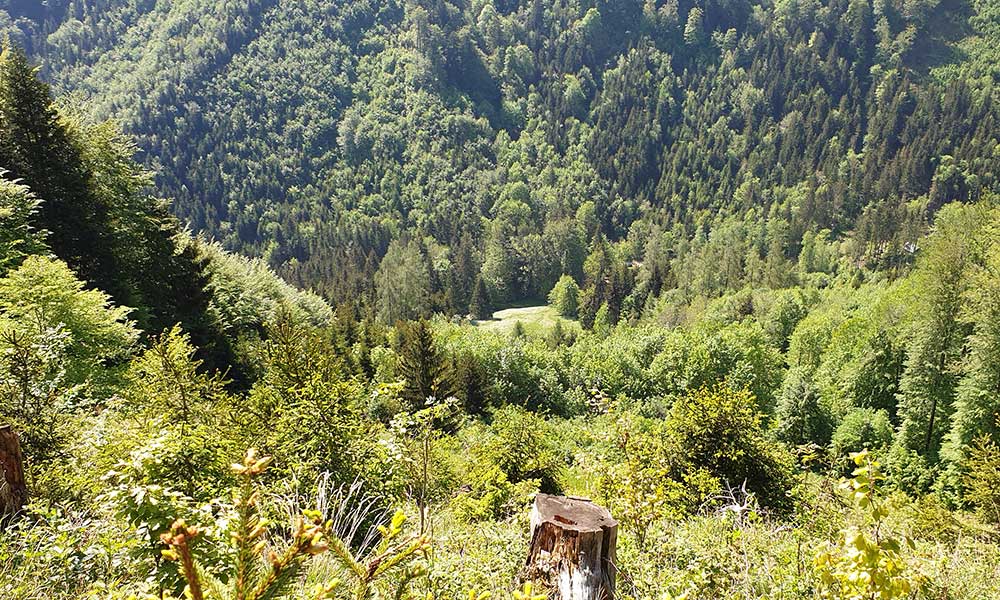 Hauergraben