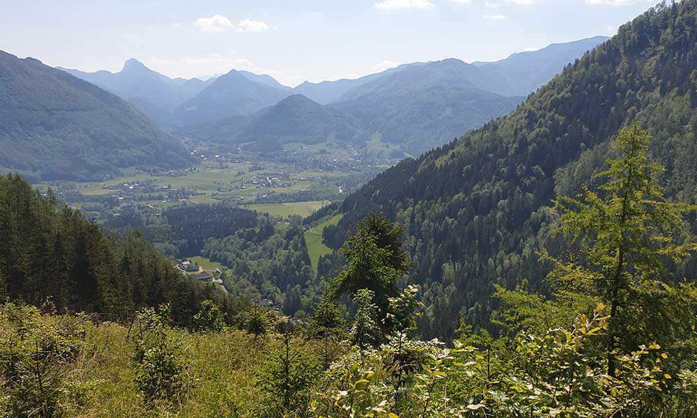 Hauergraben