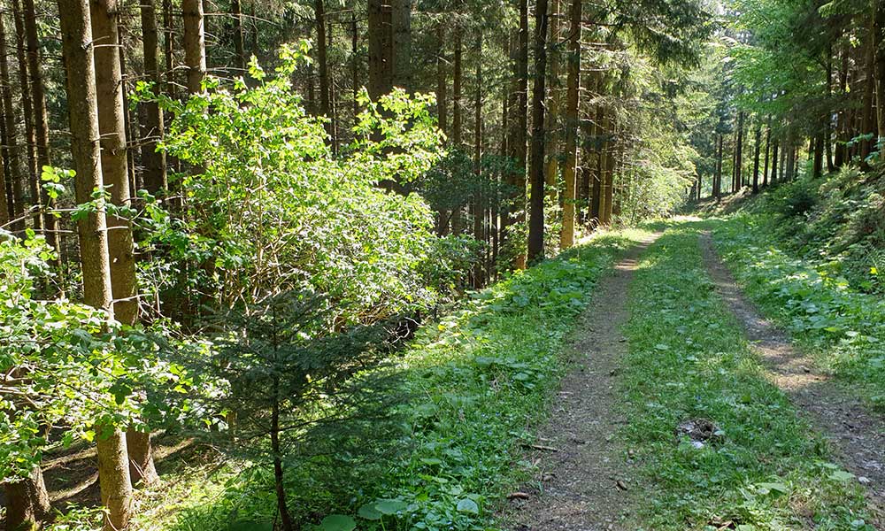 Hauergraben