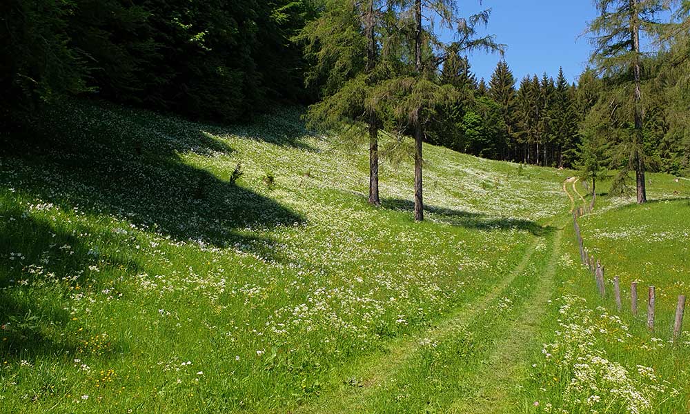 Hauergraben