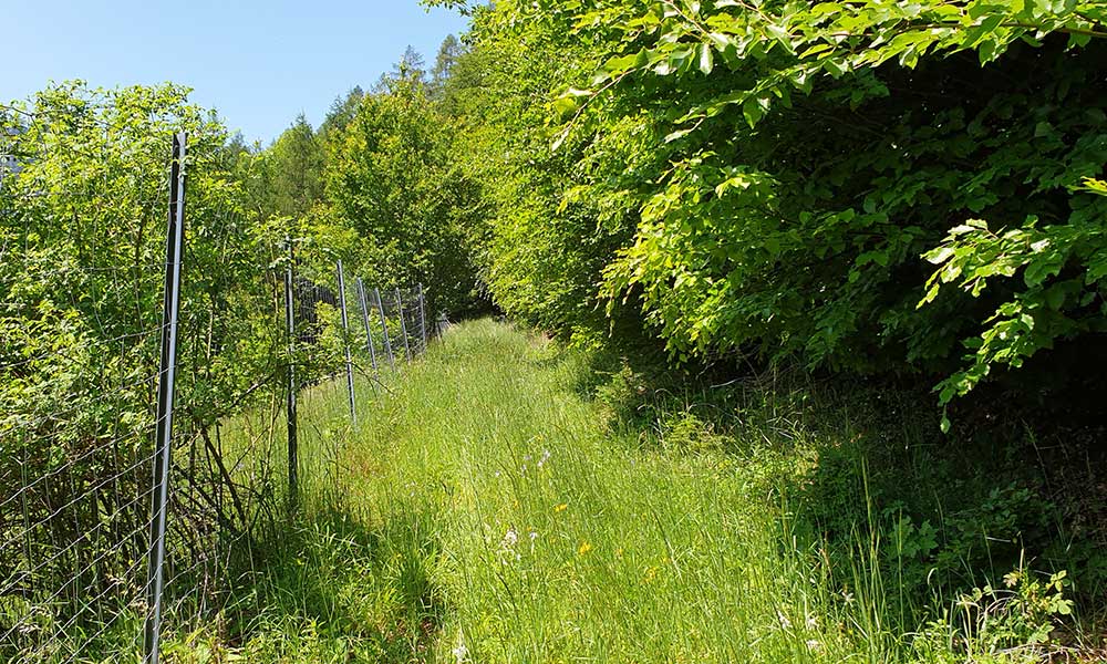 Hauergraben