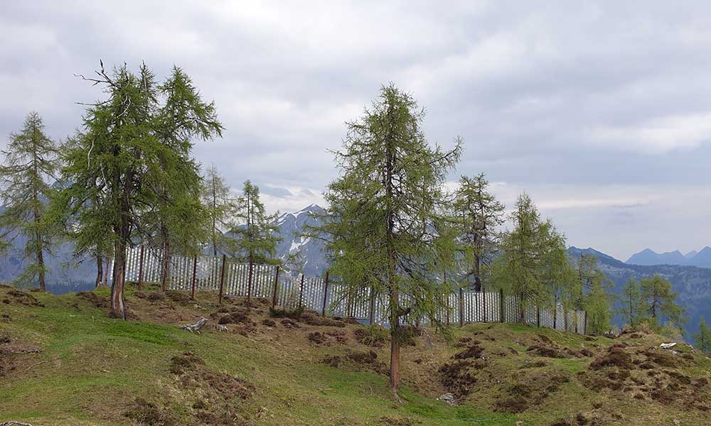 Frommerkogel