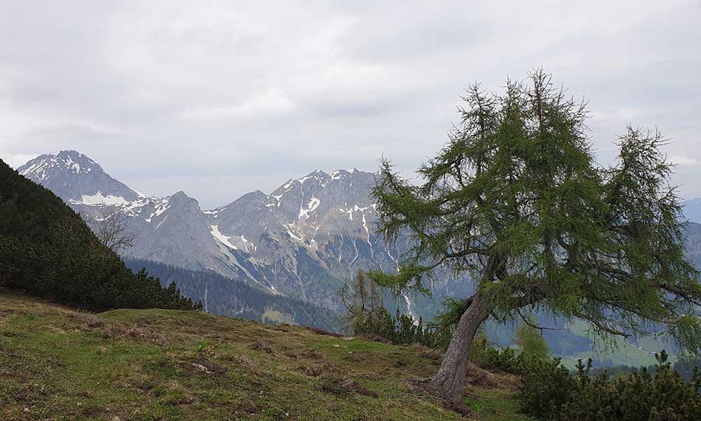 Frommerkogel