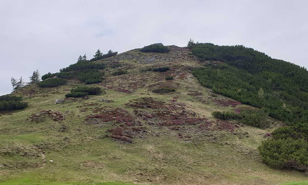 Frommerkogel