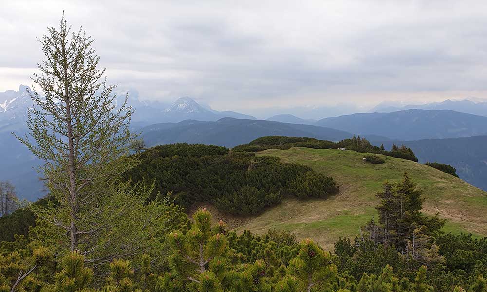 Frommerkogel