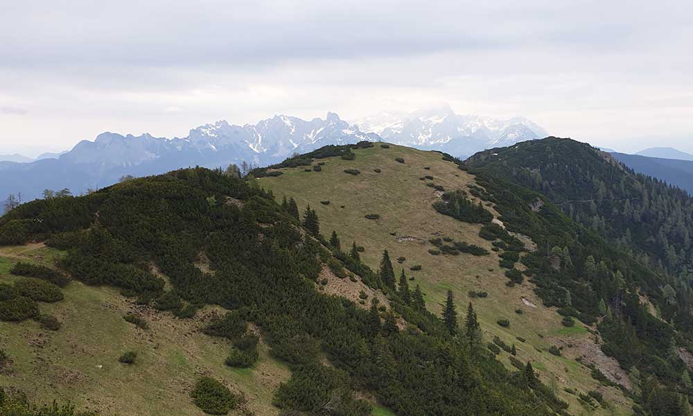 Frommerkogel