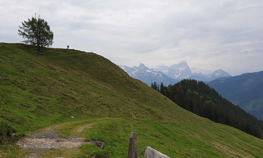 Frommerkogel