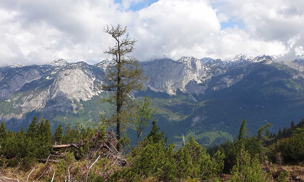 Türkenkogel