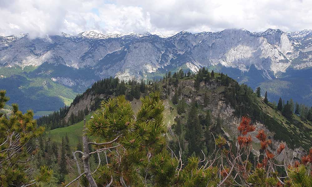 Türkenkogel