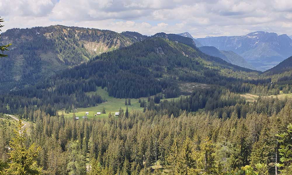 Türkenkogel