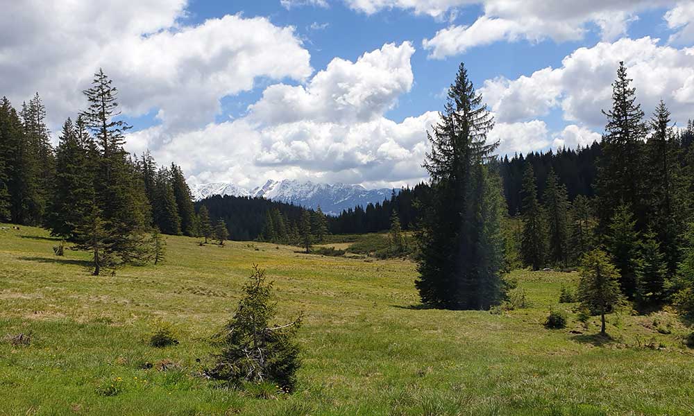 Türkenkogel