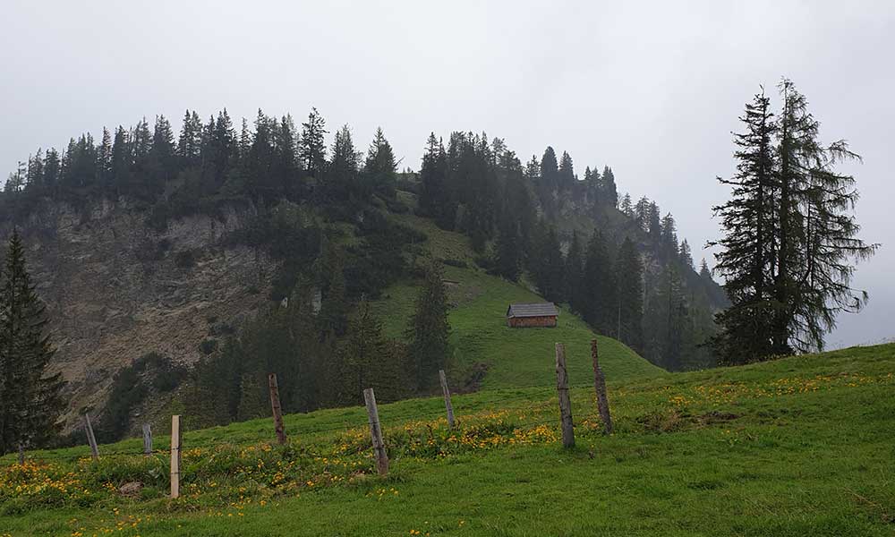 Grasberg