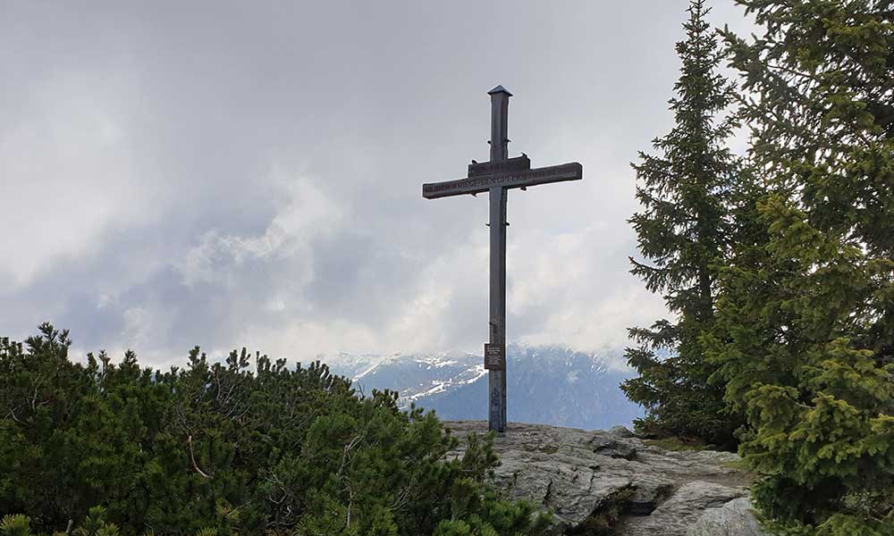 Krahbergzinken