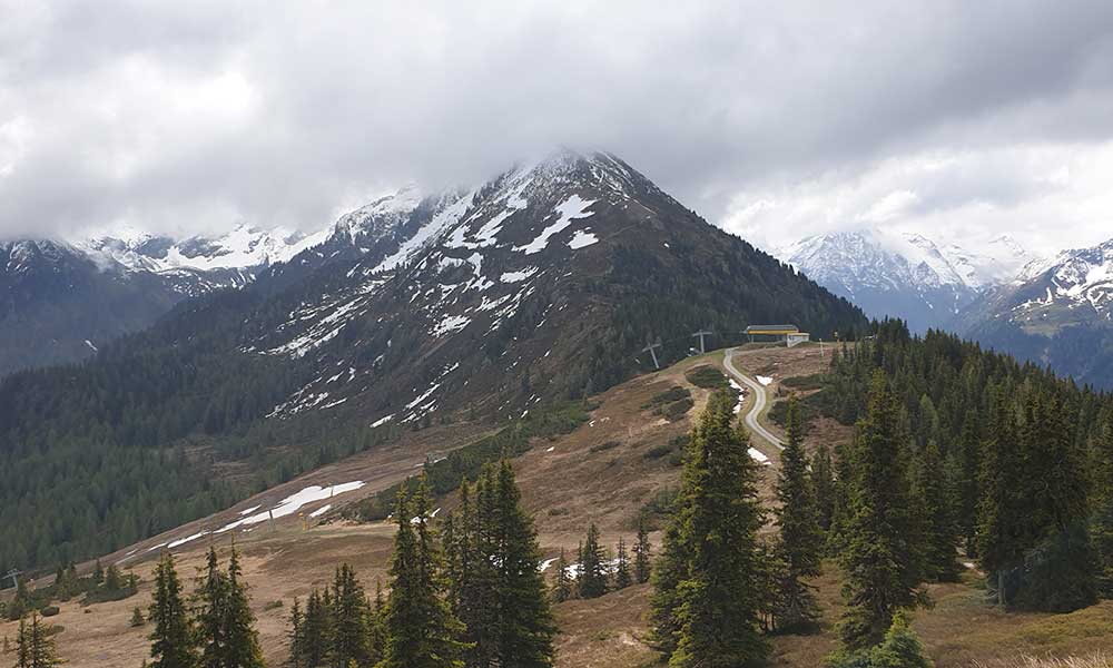 Krahbergzinken