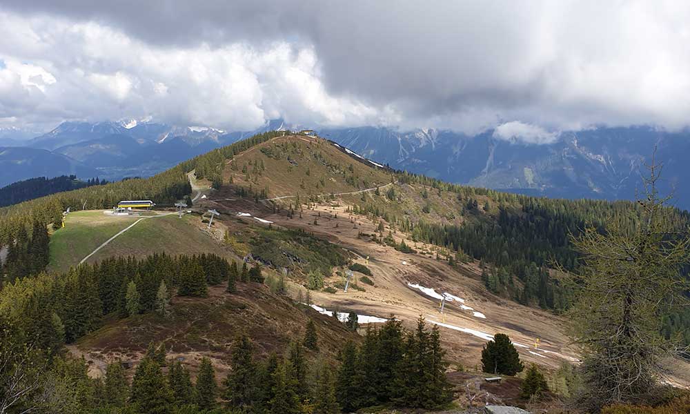 Krahbergzinken